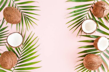Kalıp, çerçeve kenarları, hindistan cevizi ve pembe arka planda tropik palmiye yaprakları. Tropik soyut arka plan. Düz yatış, üst görünüm.