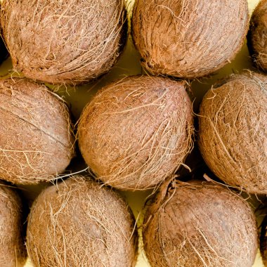 Beyaz arka planda hindistan cevizi deseni. Tropik soyut arka plan. Düz yatış, üst görünüm.