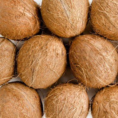 Beyaz arka planda hindistan cevizi deseni. Tropik soyut arka plan. Düz yatış, üst görünüm.