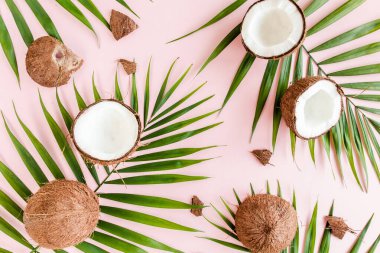 Kalıp, hindistan cevizli doku ve pembe arka planda tropikal palmiye yaprakları. Tropik soyut arka plan. Düz yatış, üst görünüm.