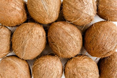 Beyaz arka planda hindistan cevizi deseni. Tropik soyut arka plan. Düz yatış, üst görünüm.