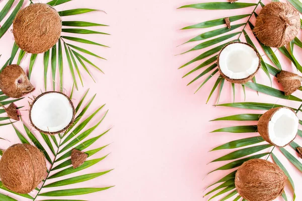 Muster, Rahmen mit Kokosnüssen und tropischen Palmenblättern auf rosa Hintergrund. Tropisch abstrakter Hintergrund. Flache Lage, Draufsicht. — Stockfoto