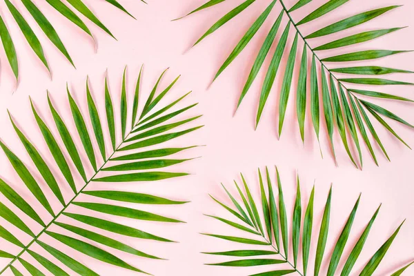 Texture tropical green palm leaves on pink background. Flat lay, top view — Stock Photo, Image