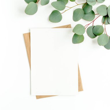 Sahte davetiye, boş tebrik kartı ve yeşil yapraklar okaliptüs. Düz yatış, üst görünüm.
