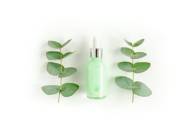 Okaliptüs yağı, okaliptüs yaprakları beyaz arka planda. Doğal, organik kozmetik ürünleri. Tıbbi, Doğal Serumlar. Düz yatış, üst görünüm.