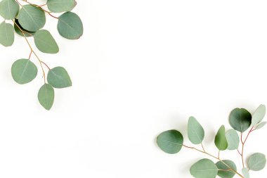 Beyaz arkaplanda yeşil yapraklar izole edilmiş.