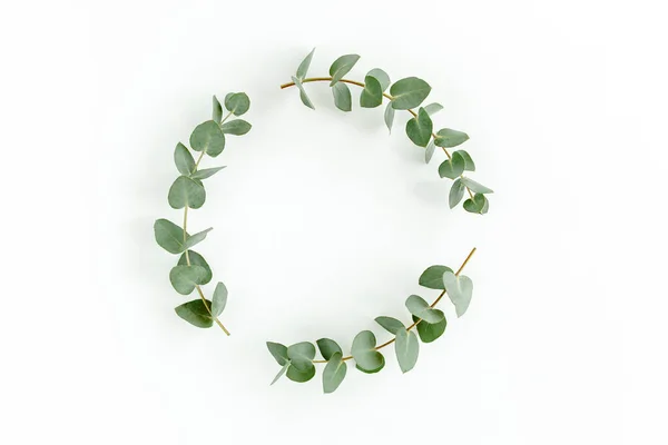 Wreath frame made of branches eucalyptus and leaves isolated on white background. lay flat, top view — Stock Photo, Image