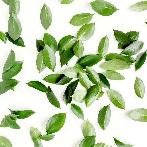Пластырь, текстура с зелеными листьями на белом фоне. lay flat, top view — стоковое фото