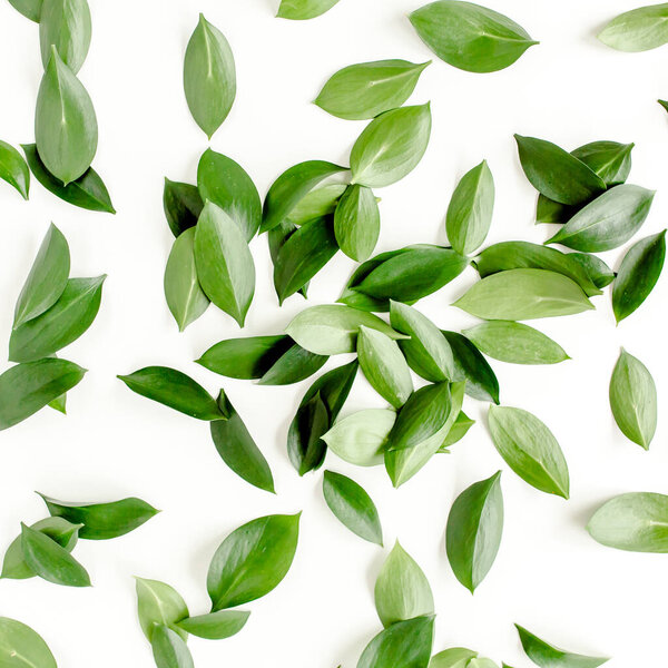 Pattern, texture with green leaves isolated on white background. lay flat, top view