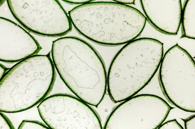 Aloe vera dilimleme dokusu arka planı. İlaç fabrikası. Tedavi etmek ve krem yapmak için kullanılır. Düz yatıyordu. Üst görünüm.
