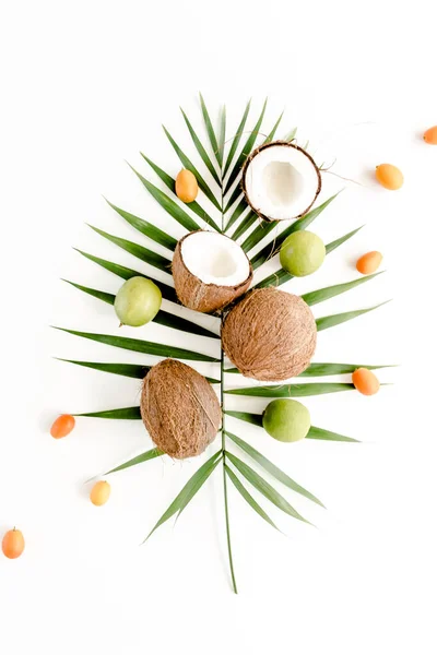 Тропический зеленый пальмовый лист, лайм и треснувший кокос на белом фоне. Концепция природы. плоский, вид сверху — стоковое фото