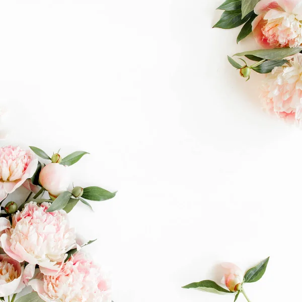 Marco fronterizo hecho de flores de peonías de color rosa y beige y aislado sobre fondo blanco. Asiento plano, vista superior. Marco de flores. — Foto de Stock