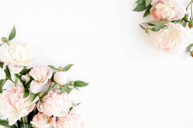 Kenar çerçevesi pembe ve bej şakayıklardan yapılmış ve beyaz arka planda izole edilmiş. Düz yerde, üst tarafta. Çiçek çerçevesi.