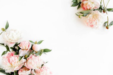 Kenar çerçevesi pembe ve bej şakayıklardan yapılmış ve beyaz arka planda izole edilmiş. Düz yerde, üst tarafta. Çiçek çerçevesi.