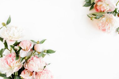 Kenar çerçevesi pembe ve bej şakayıklardan yapılmış ve beyaz arka planda izole edilmiş. Düz yerde, üst tarafta. Çiçek çerçevesi.