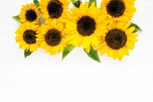 Красива з жовтим соняшником на білому тлі. Квітковий візерунок. Плоский простір, вид зверху. Каркас з квітів. Текстура квітів — стокове фото
