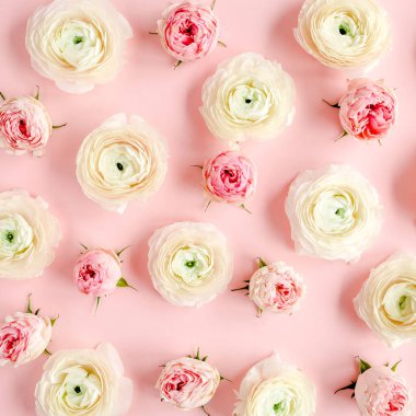 Pembe ranunculus ve pembe arka planda gül tomurcuklarından oluşan çiçek arkaplan dokusu. Düz yatar, üst görünüm çiçek arkaplanı.