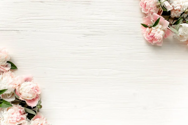 Cornice di confine realizzata in fiore di peonie rosa e beige e isolata su sfondo bianco. Posa piatta, vista dall'alto. Telaio di fiori. — Foto Stock