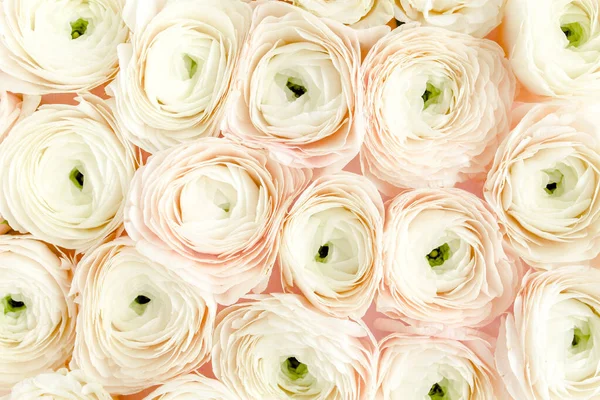 Bouquet, texture of pink ranunculus and roses flower close up. Flat lay, top view. Ranunculus flower texture. — Stock Photo, Image