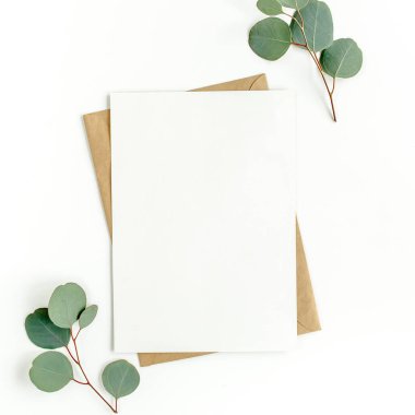 Sahte davetiye, boş tebrik kartı ve yeşil yapraklar okaliptüs. Düz yatış, üst görünüm.