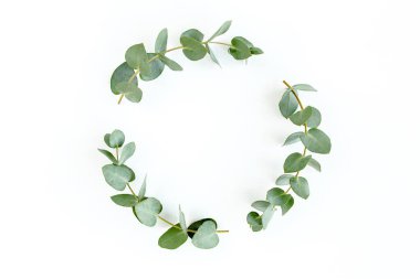 Okaliptüsten yapılmış çelenk çerçevesi ve beyaz arka planda izole edilmiş yapraklar. Düz uzan, üst görünüm