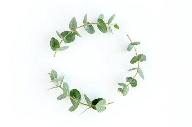 Okaliptüsten yapılmış çelenk çerçevesi ve beyaz arka planda izole edilmiş yapraklar. Düz uzan, üst görünüm