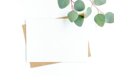 Sahte davetiye, boş tebrik kartı ve yeşil yapraklar okaliptüs. Düz yatış, üst görünüm.