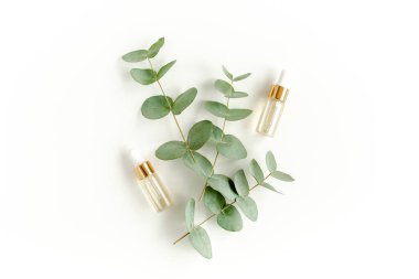 Okaliptüs yağı, okaliptüs yaprakları beyaz arka planda. Doğal, organik kozmetik ürünleri. Tıbbi, Doğal Serumlar. Düz yatış, üst görünüm.