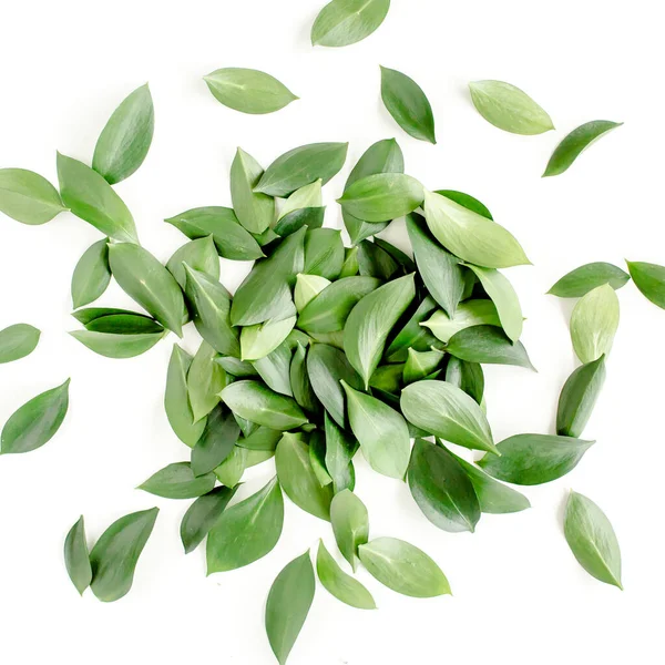 Μοτίβο, υφή με πράσινα φύλλα που απομονώνονται σε λευκό φόντο. lay επίπεδη, πάνω όψη — Φωτογραφία Αρχείου