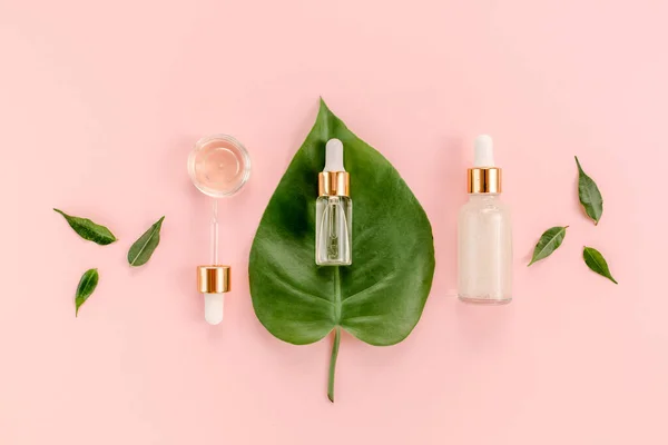 Aloe vera essential oil on pink background. Medicinal plant. Natural Serums, gyaluronic acid. Flat lay. Top view. — Stock Photo, Image