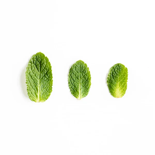 Foglie di menta isolate su fondo bianco. Set di menta piperita. Schema della menta. Piatto. Vista dall'alto. — Foto Stock