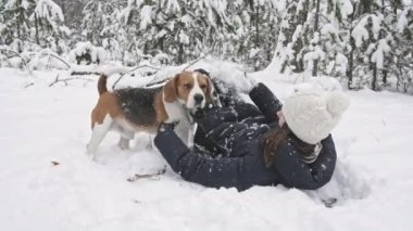 Karlı kış ormanlarında yürürken dişi sahibiyle oynayan mutlu av köpeği. Açık hava yürüyüşü. İnsan ve köpek arasındaki güçlü dostluk. Yavaş çekim