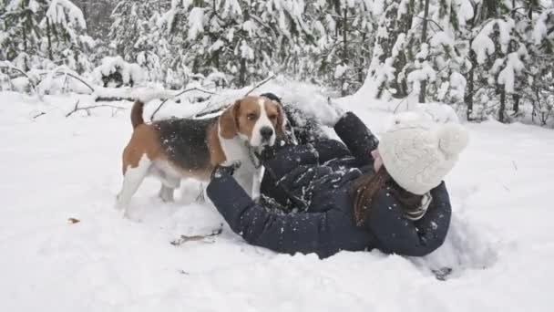 Cão beagle feliz brincando com sua dona durante o passeio na floresta de inverno nevado. Caminhada exterior. Amizade forte entre o homem e o cão. Movimento lento — Vídeo de Stock