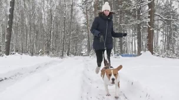 Happy beagle dog está correndo com sua dona durante o passeio na floresta de inverno nevado. Caminhada exterior. Amizade forte entre o homem e o cão. Movimento lento — Vídeo de Stock