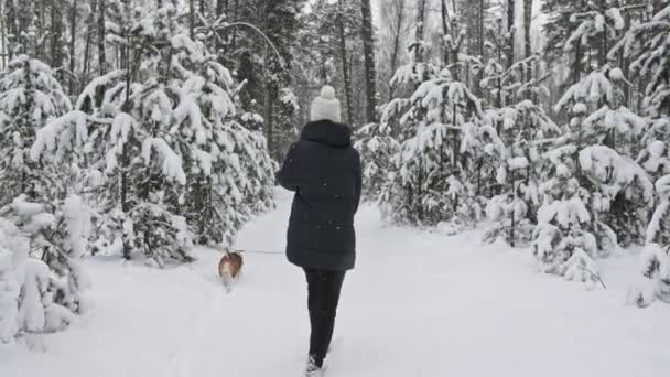 Chica joven con su perro beagle son paseos a través de un bosque de invierno nevado. Caminar al aire libre. El mejor amigo de los hombres. Movimiento lento — Vídeos de Stock