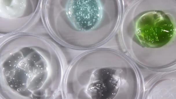 Piatti di Petri con Gel Fluido Vari Batteri, Tessuto. Concetto di ricerca farmaceutica. Laboratorio di Microbiologia. Rallentatore — Video Stock