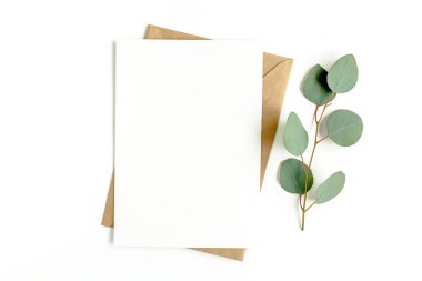 Sahte davetiye, boş tebrik kartı ve yeşil yapraklar okaliptüs. Düz yatış, üst görünüm.