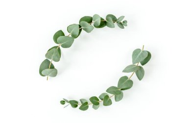Okaliptüsten yapılmış çelenk çerçevesi ve beyaz arka planda izole edilmiş yapraklar. Düz uzan, üst görünüm