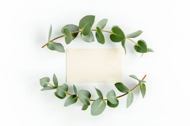 Sahte davetiye, boş tebrik kartı ve yeşil yapraklar okaliptüs. Düz yatış, üst görünüm.
