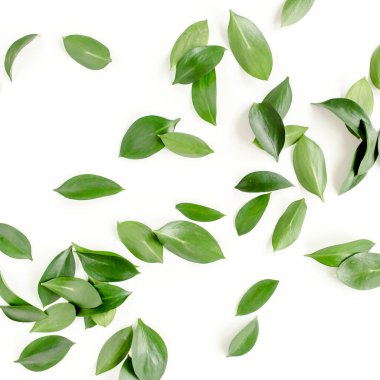 Beyaz arka planda yeşil yapraklı desen, doku. Düz uzan, üst görünüm