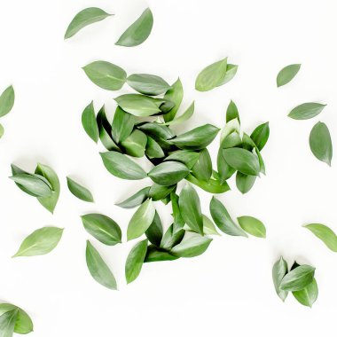 Beyaz arka planda yeşil yapraklı desen, doku. Düz uzan, üst görünüm