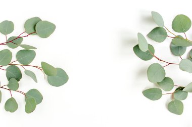 Beyaz arkaplanda yeşil yapraklar izole edilmiş.