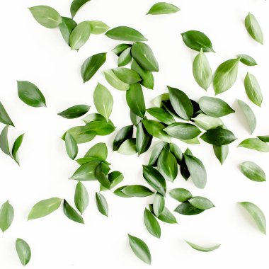 Beyaz arka planda yeşil yapraklı desen, doku. Düz uzan, üst görünüm