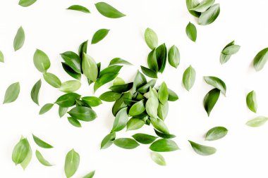 Beyaz arka planda yeşil yapraklı desen, doku. Düz uzan, üst görünüm