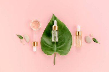 Aloe vera pembe arka planda gerekli yağ. İlaç fabrikası. Doğal Serum, gyaluronik asit. Düz yatıyordu. Üst görünüm.