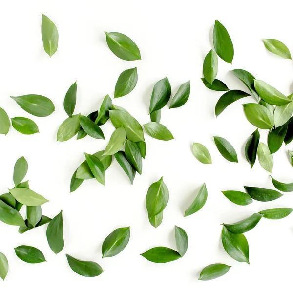 Beyaz arka planda yeşil yapraklı desen, doku. Düz uzan, üst görünüm