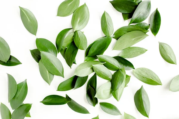 Beyaz arka planda yeşil yapraklı desen, doku. Düz uzan, üst görünüm