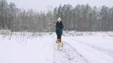Mutlu av köpeği, karlı kış ormanlarında yürürken kadın sahibiyle koşuyor. Açık hava yürüyüşü. İnsan ve köpek arasındaki güçlü dostluk. Yavaş çekim