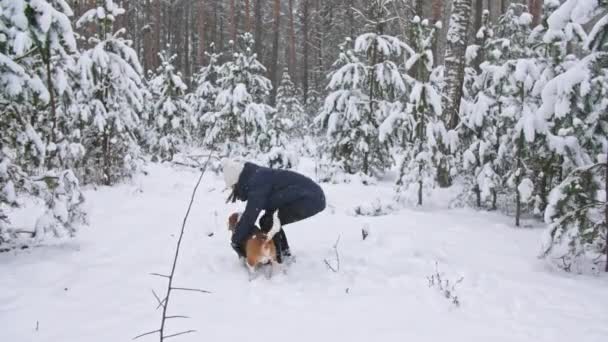 Happy beagle pies bawi się ze swoją właścicielką podczas spaceru w śnieżnym lesie zimowym. Na świeżym powietrzu. Silna przyjaźń między człowiekiem a psem. Zwolniony ruch — Wideo stockowe