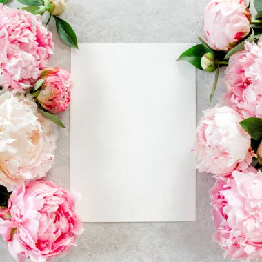 Sahte davetiye, boş kağıt tebrik kartı ve gri taş masadaki şakayıklar. Çiçek arkaplanı. Düz yatış, üst görünüm.